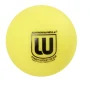 WINNWELL míčky hokejbal 12-pack #4